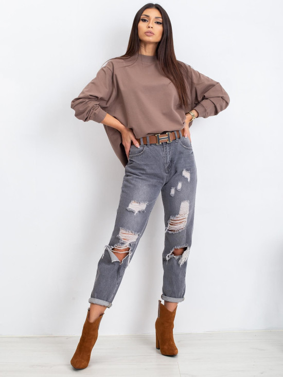 Brown Cotton Basic Sweatshirt
