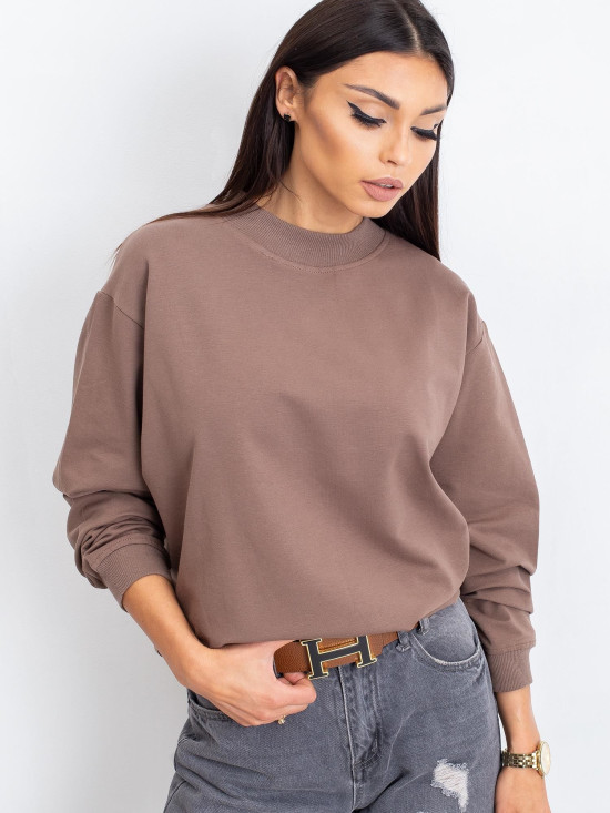 Brown Cotton Basic Sweatshirt