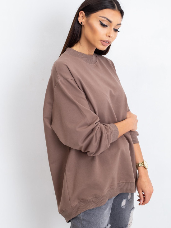 Brown Cotton Basic Sweatshirt