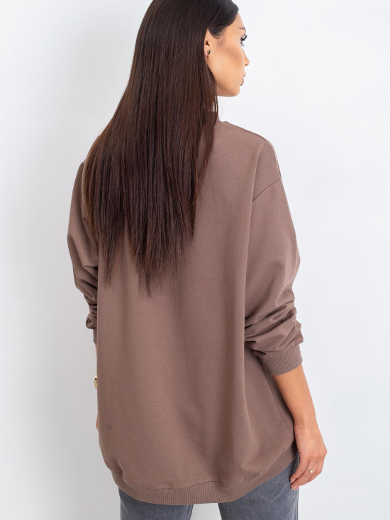 Brown Cotton Basic Sweatshirt