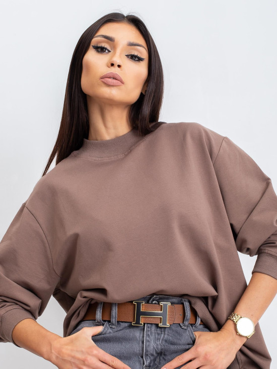 Brown Cotton Basic Sweatshirt