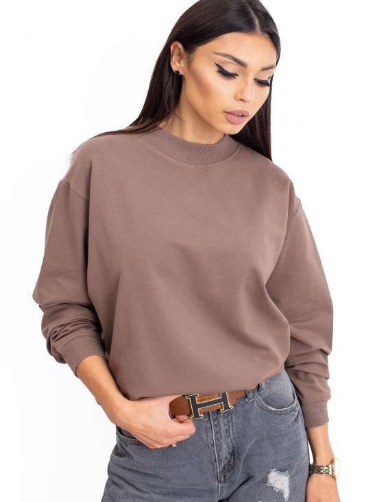 Brown Cotton Basic Sweatshirt
