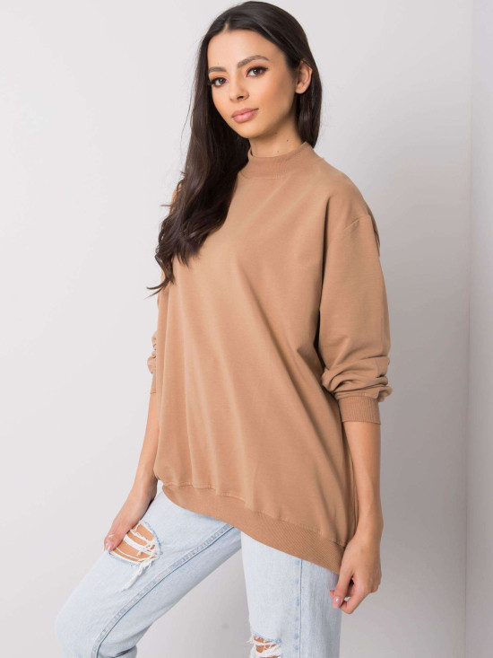 Brown Cotton Basic Sweatshirt
