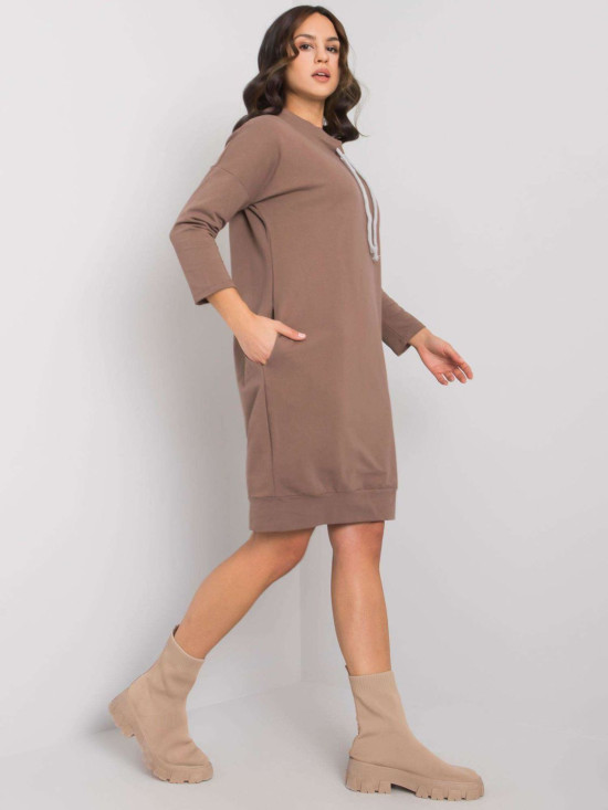 Brown Simple Dress with Long Sleeves