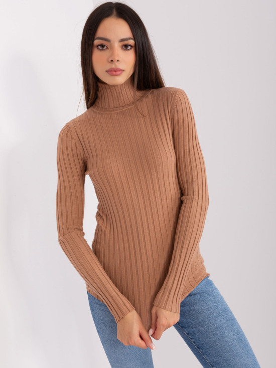 Brown Fitted Sweater with Turtleneck