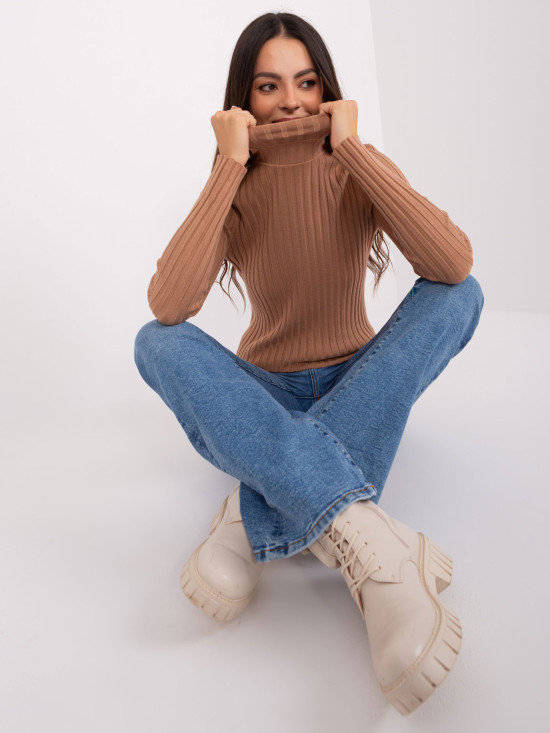 Brown Fitted Sweater with Turtleneck