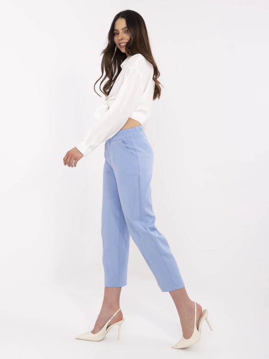 Elegant Blue Pants