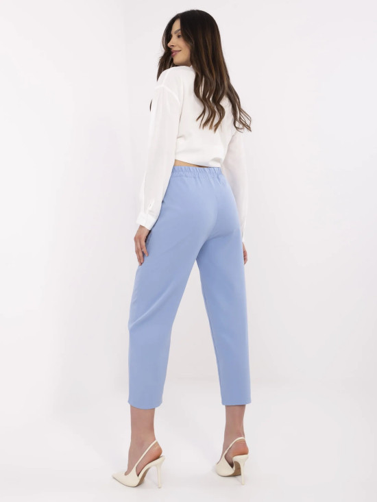 Elegant Blue Pants
