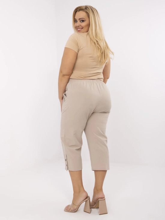 Beige High-Waisted Pants