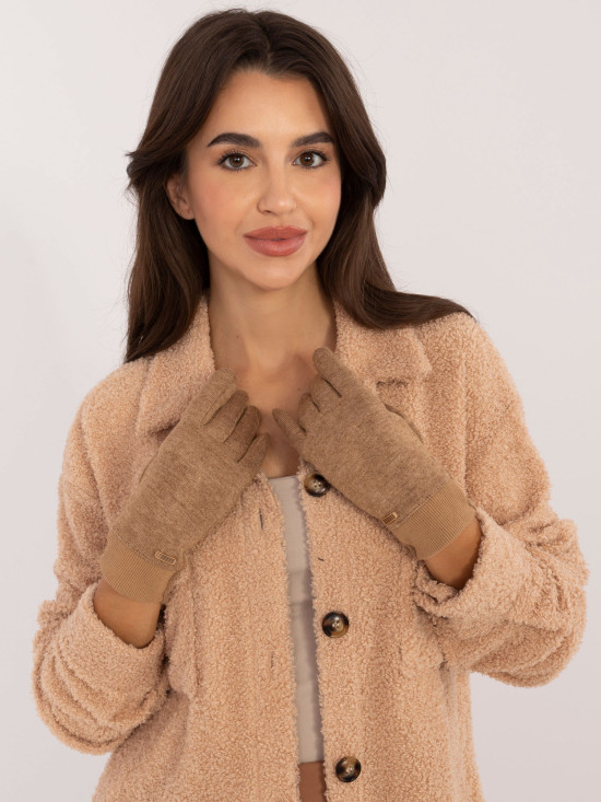 Brown Gloves with Touch Function