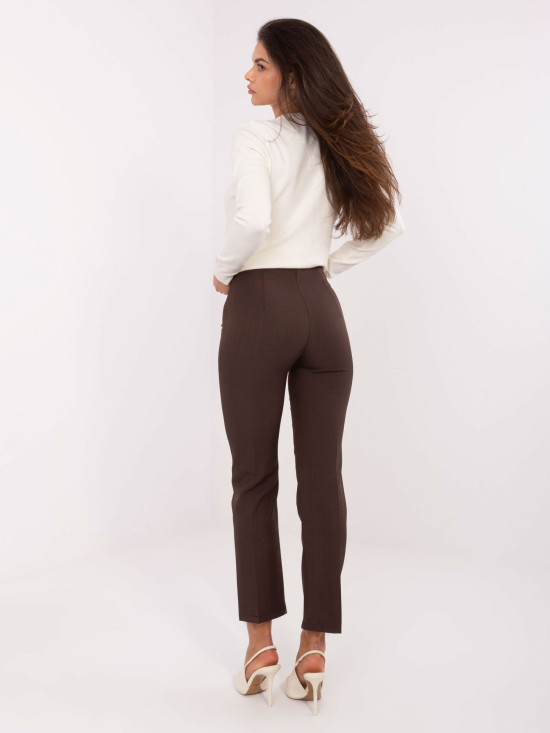 Elegant Brown Pants