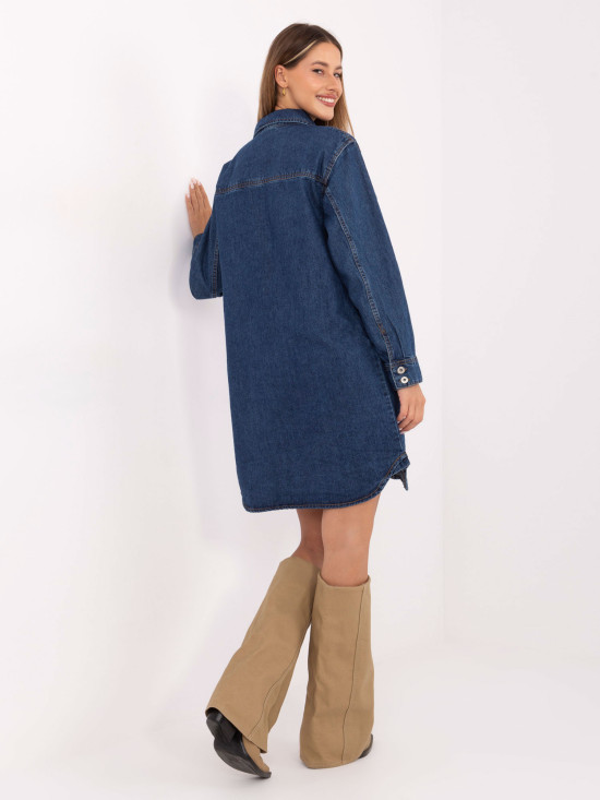 Simple Blue Dress with Long Sleeves