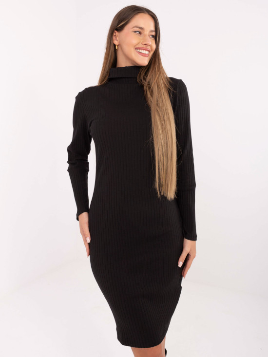 Black Ribbed Pencil Dress with Turtleneck