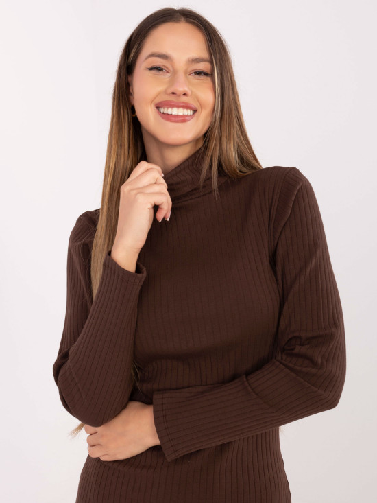 Brown Ribbed Pencil Dress with Turtleneck