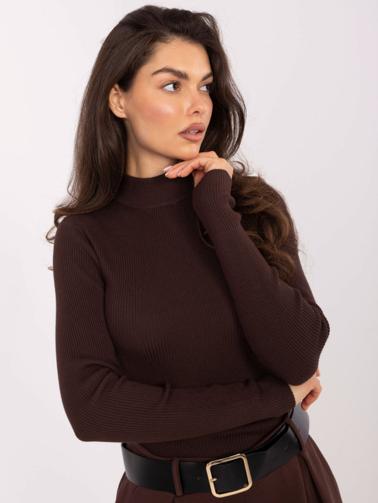 Brown Ribbed Turtleneck Sweater
