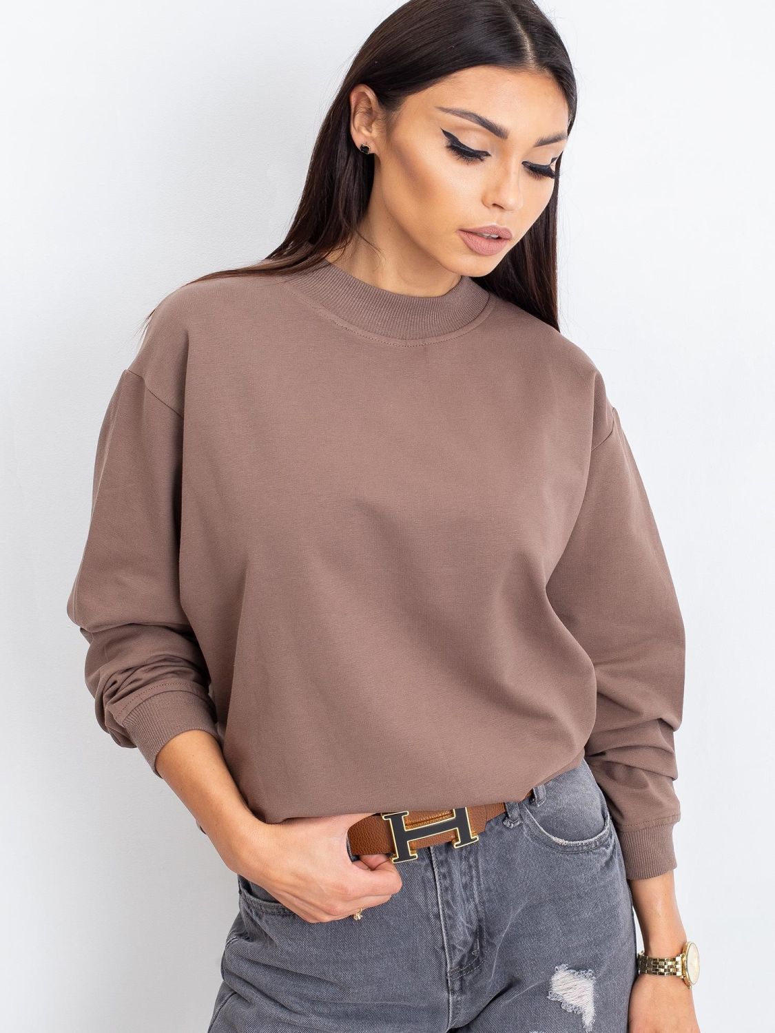 Brown Cotton Basic Sweatshirt