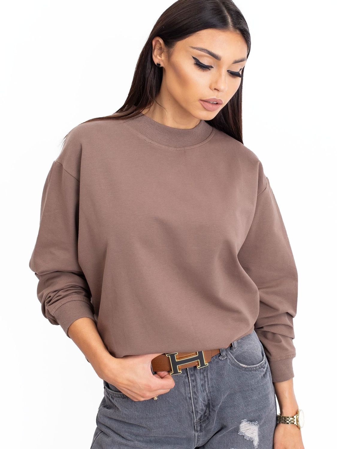 Brown Cotton Basic Sweatshirt