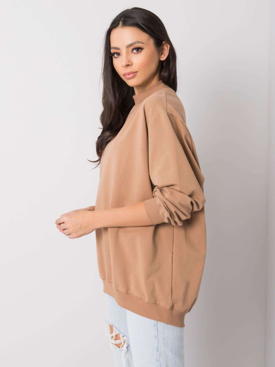 Brown Cotton Basic Sweatshirt