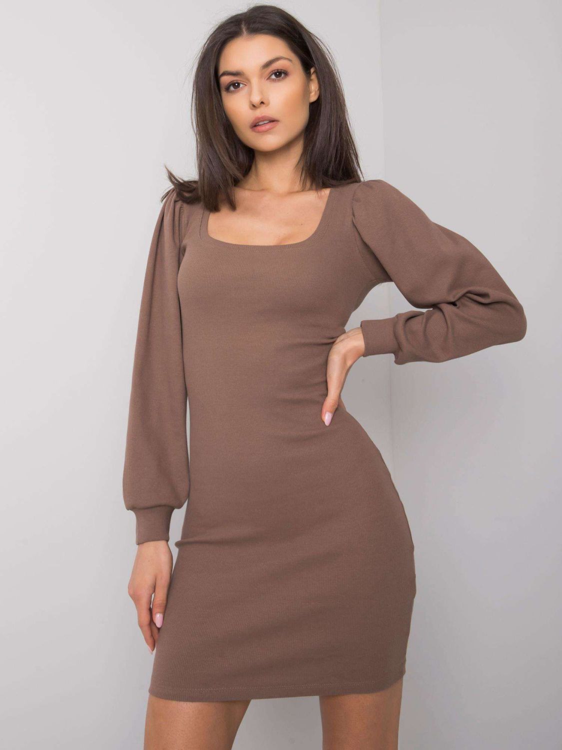 Brown RUE PARIS Dress with Long Sleeves
