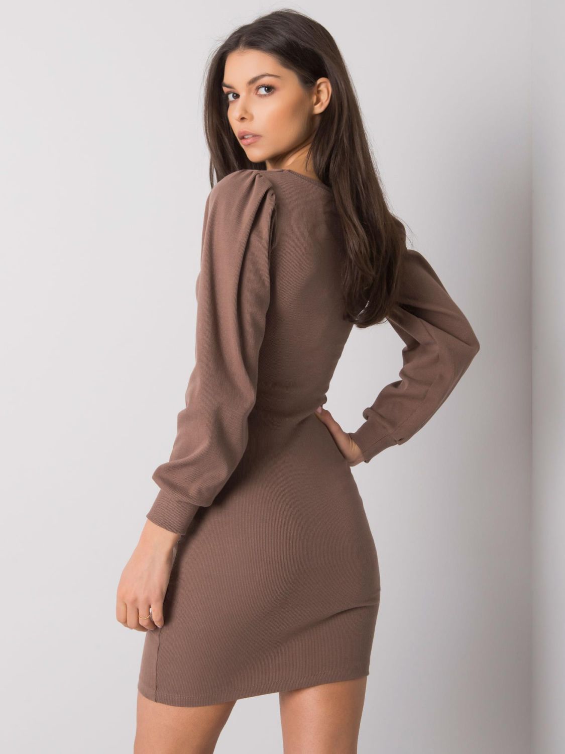 Brown RUE PARIS Dress with Long Sleeves