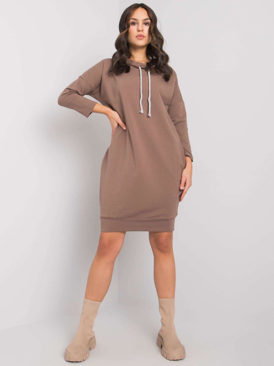 Brown Simple Dress with Long Sleeves