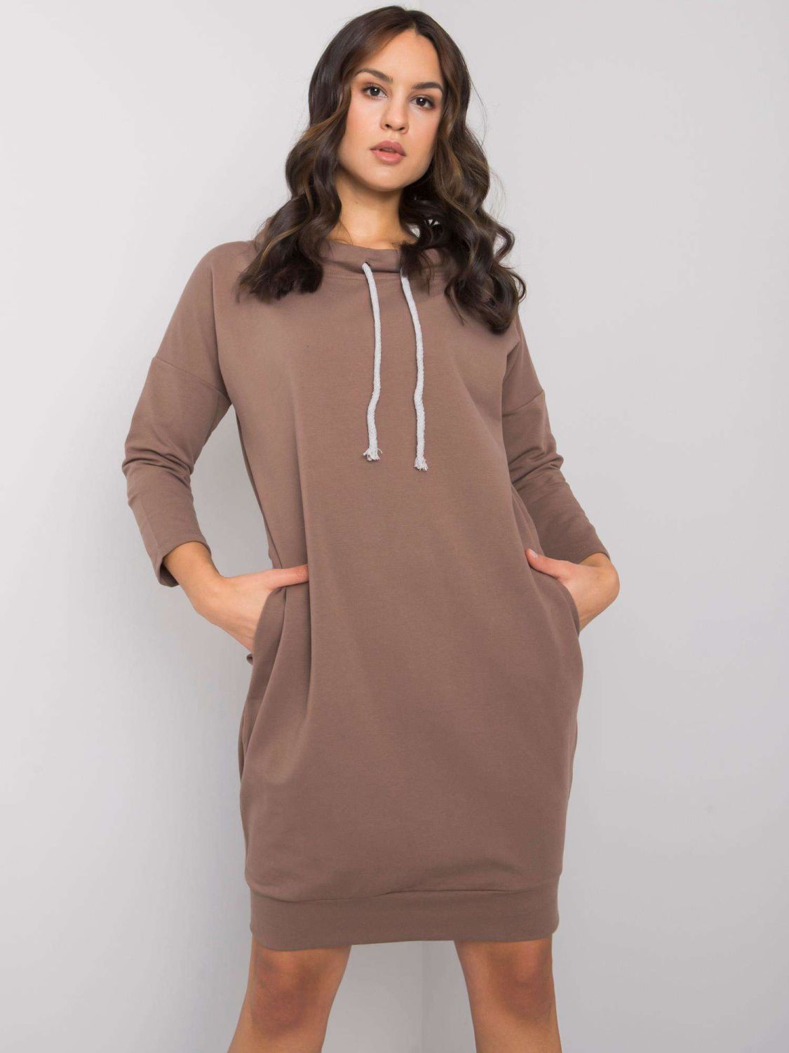 Brown Simple Dress with Long Sleeves