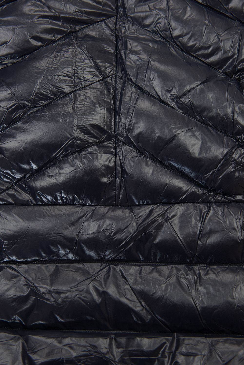 Belted winter jacket in navy/beige