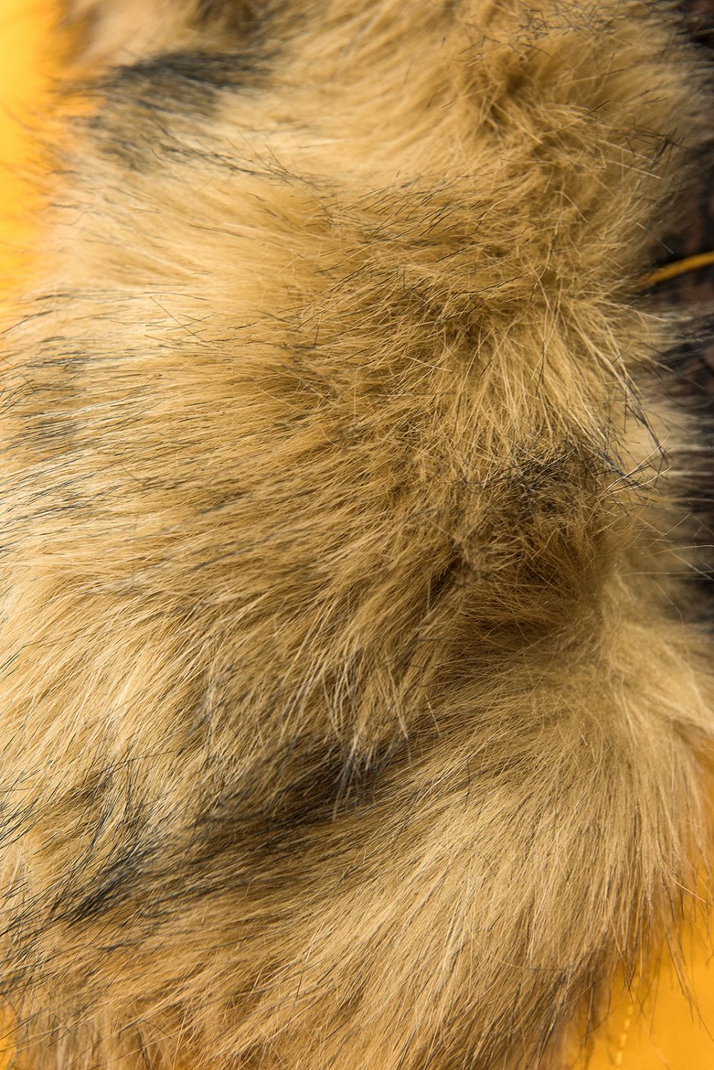 Yellow reversible winter parka with faux fur trim