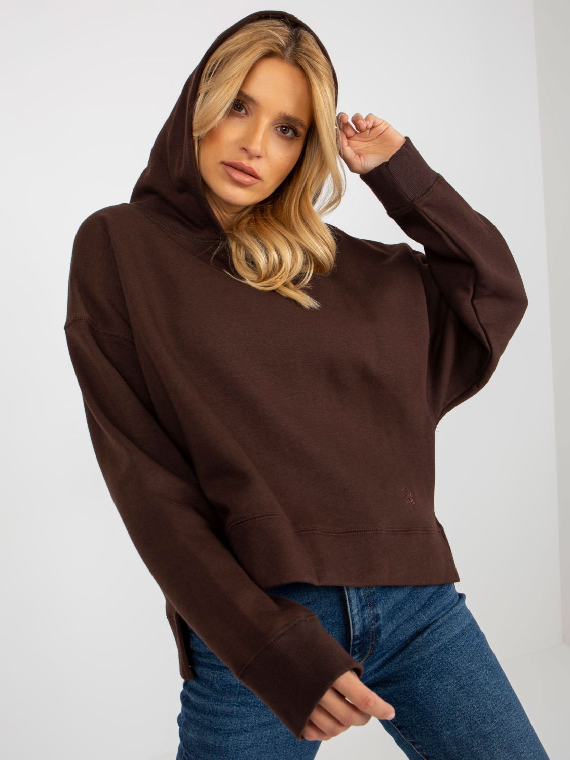 Brown Hooded Sweatshirt MAYFLIES