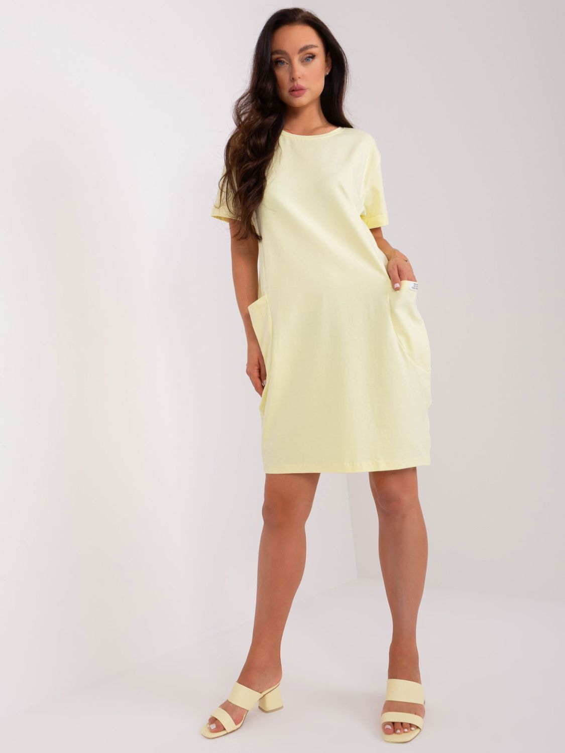 Light Yellow Basic Dress with Pockets