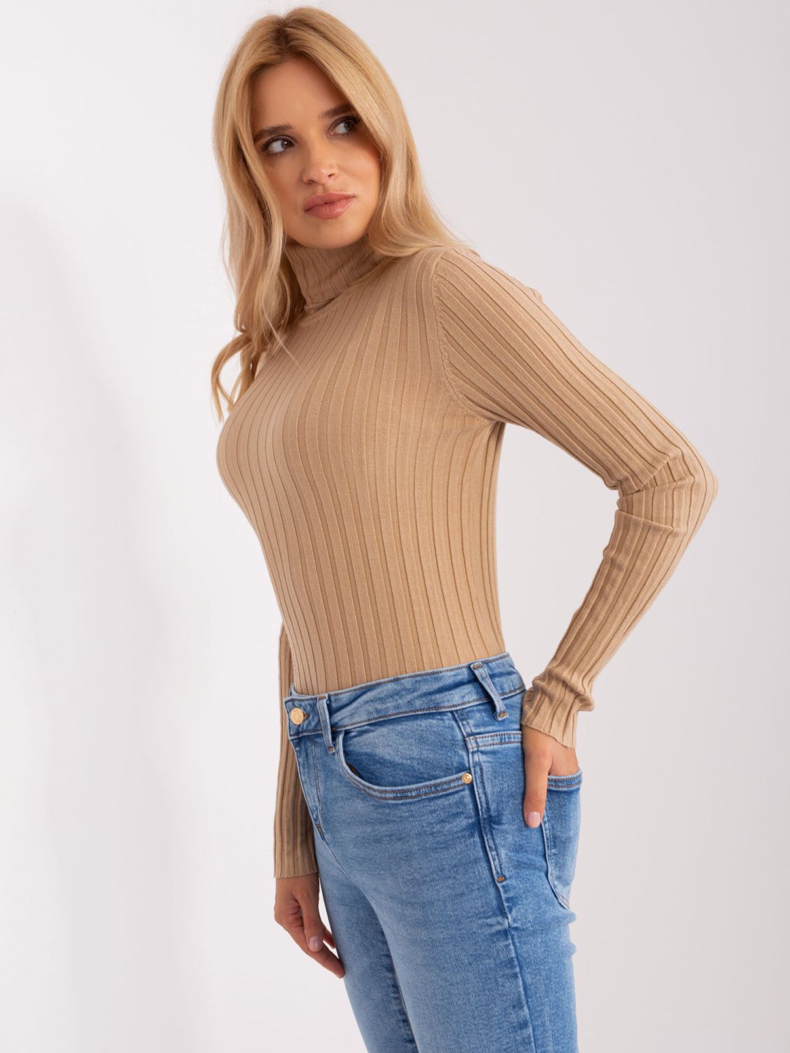 Brown Fitted Sweater with Turtleneck