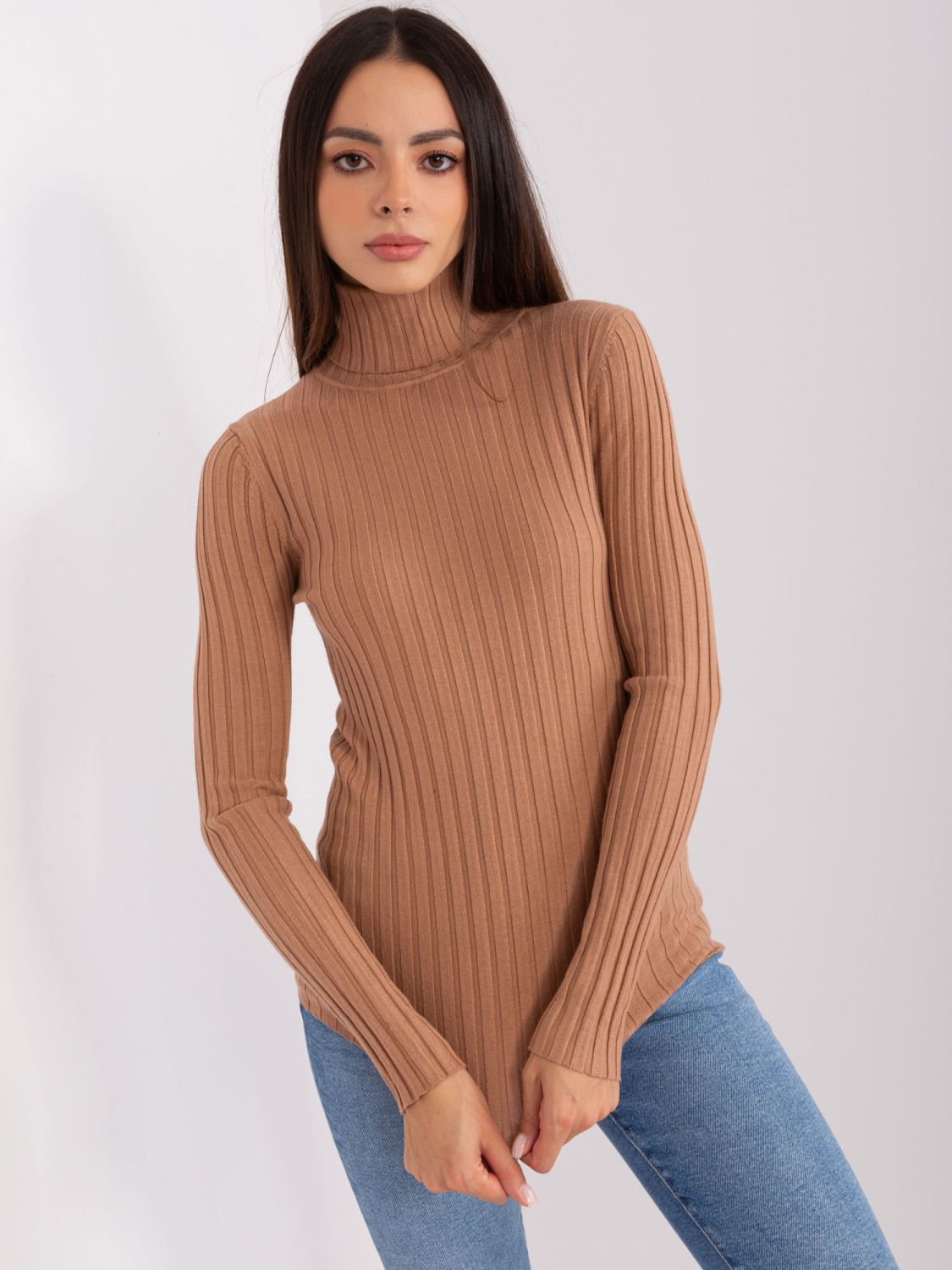Brown Fitted Sweater with Turtleneck