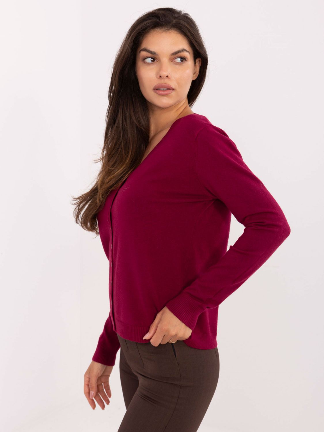 Elegant Bordeaux Sweater with V-Neck