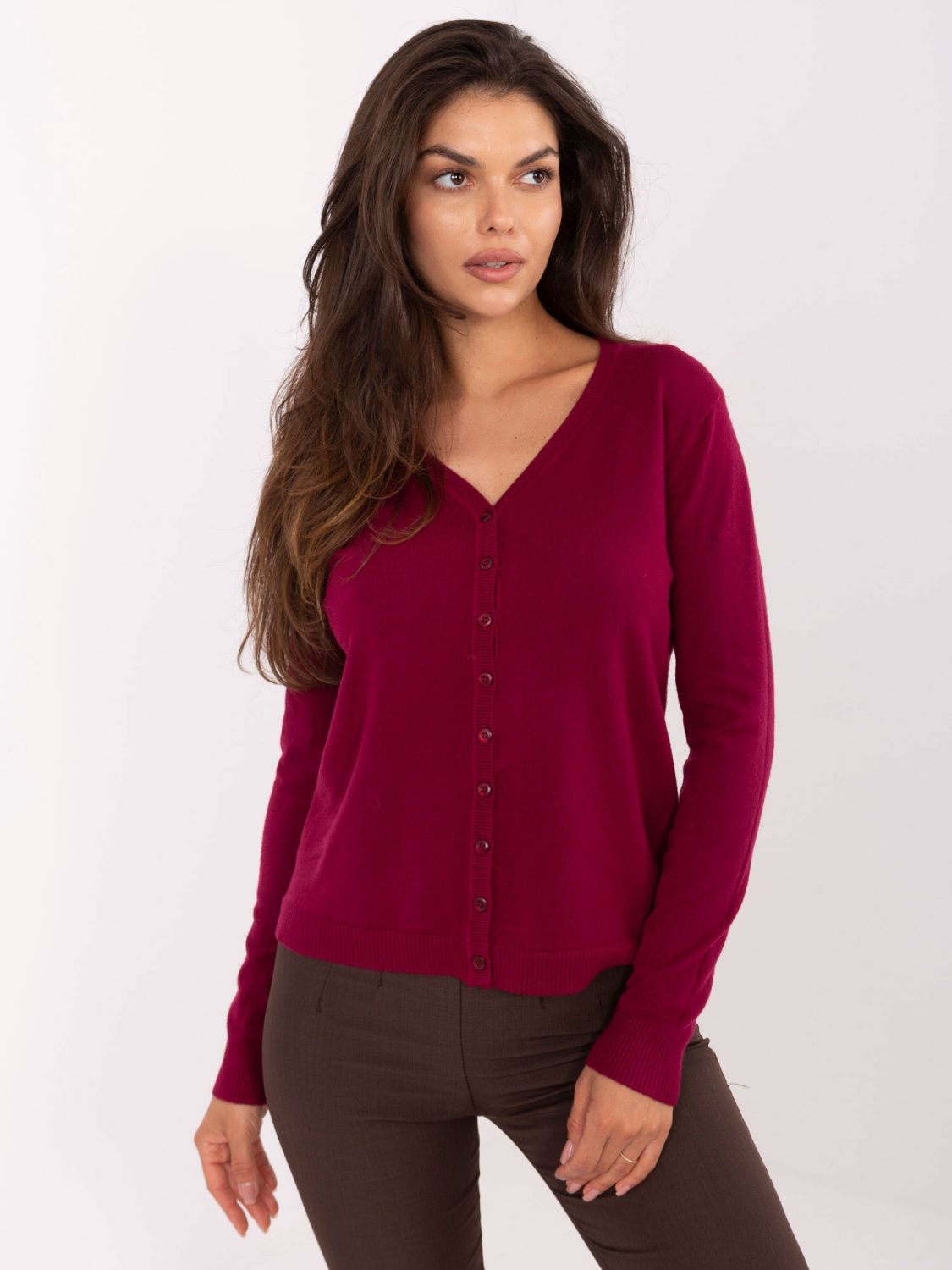 Elegant Bordeaux Sweater with V-Neck
