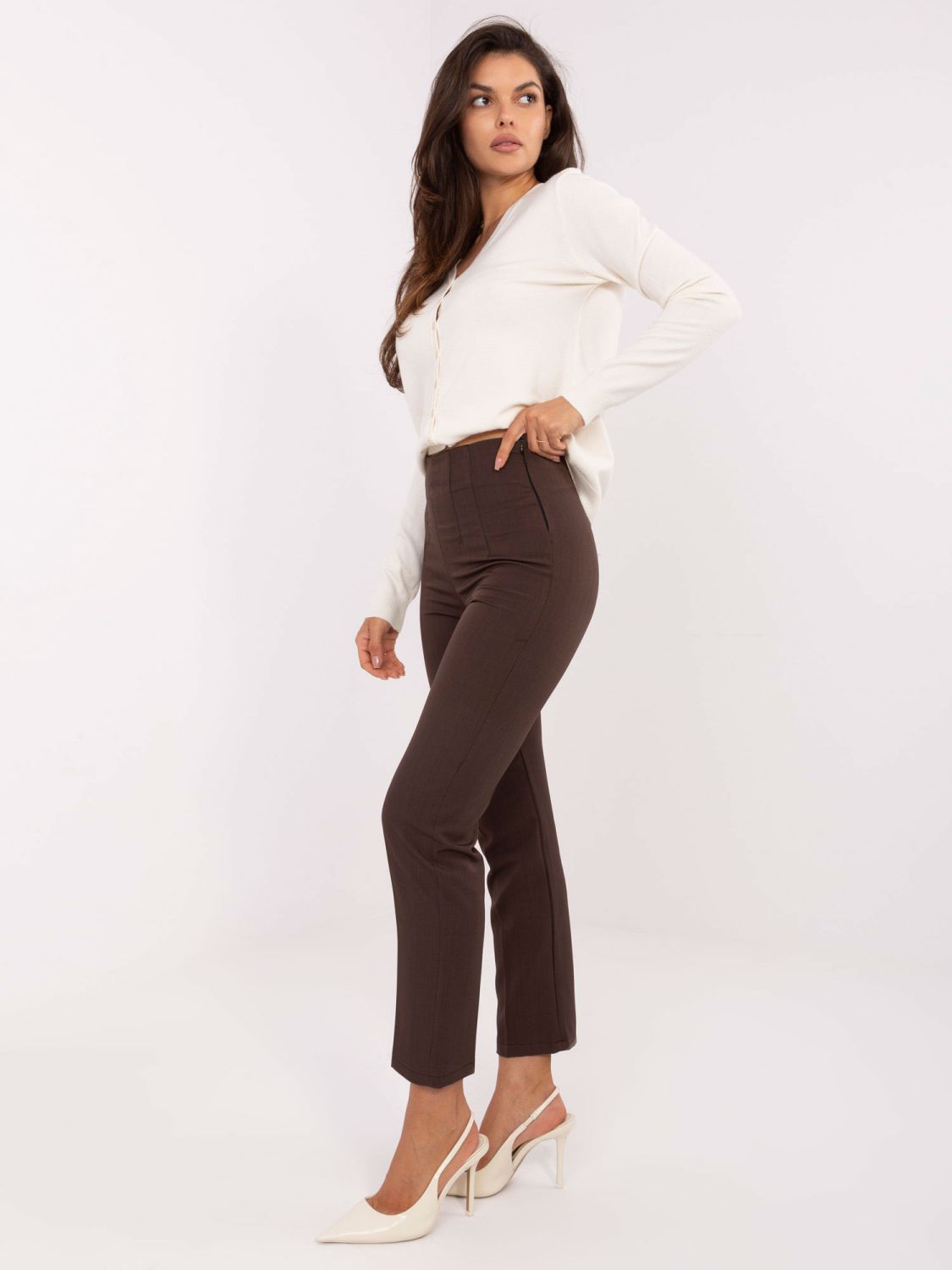 Elegant Brown Pants