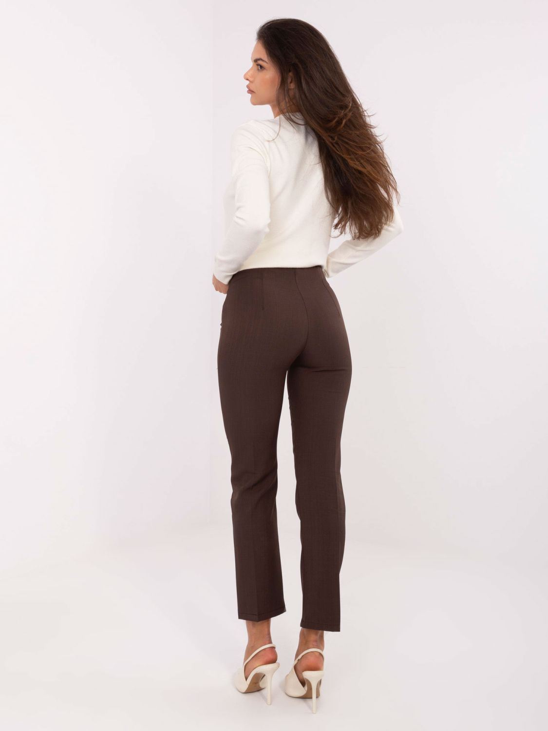 Elegant Brown Pants