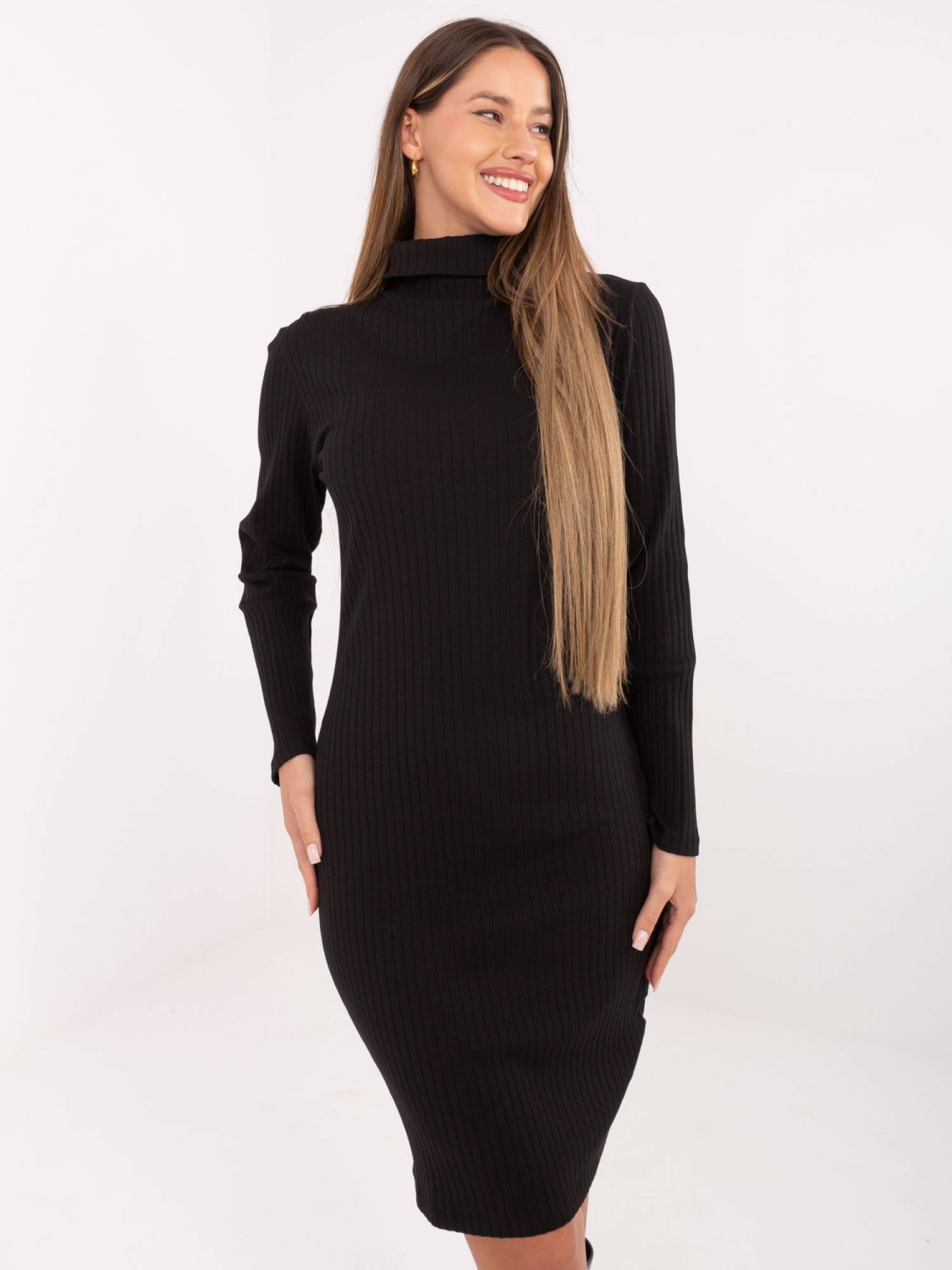 Black Ribbed Pencil Dress with Turtleneck