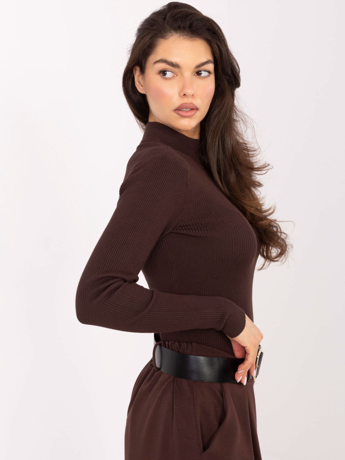 Brown Ribbed Turtleneck Sweater