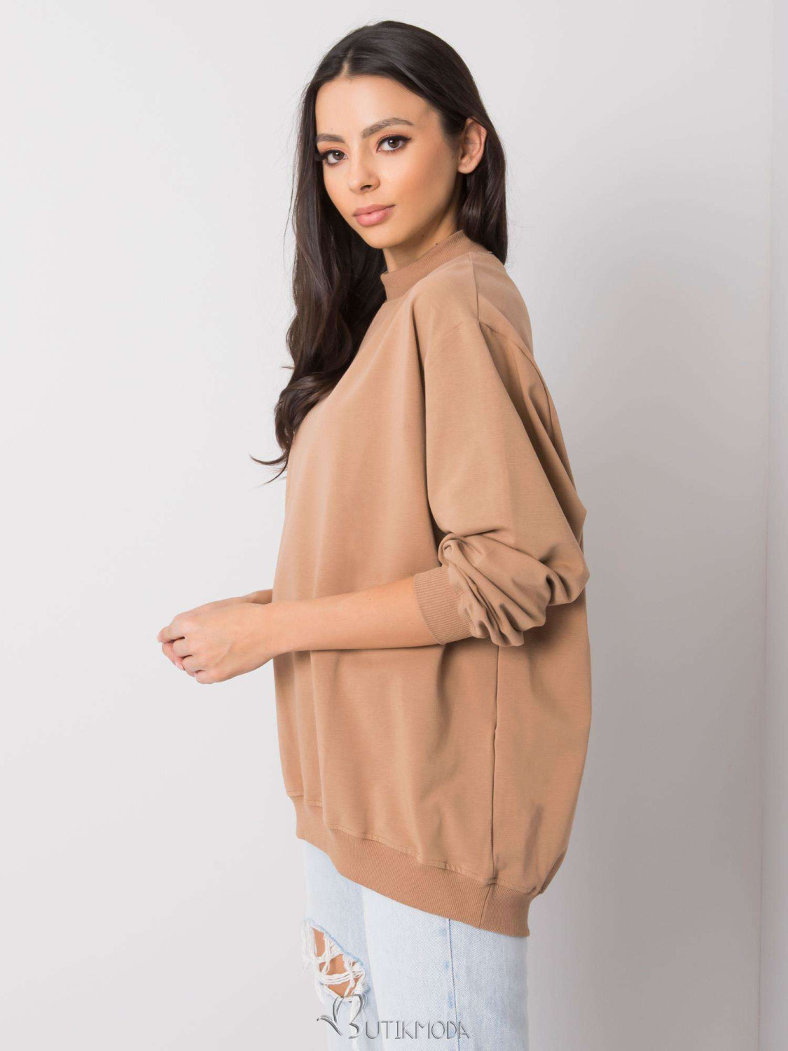 Brown Cotton Basic Sweatshirt