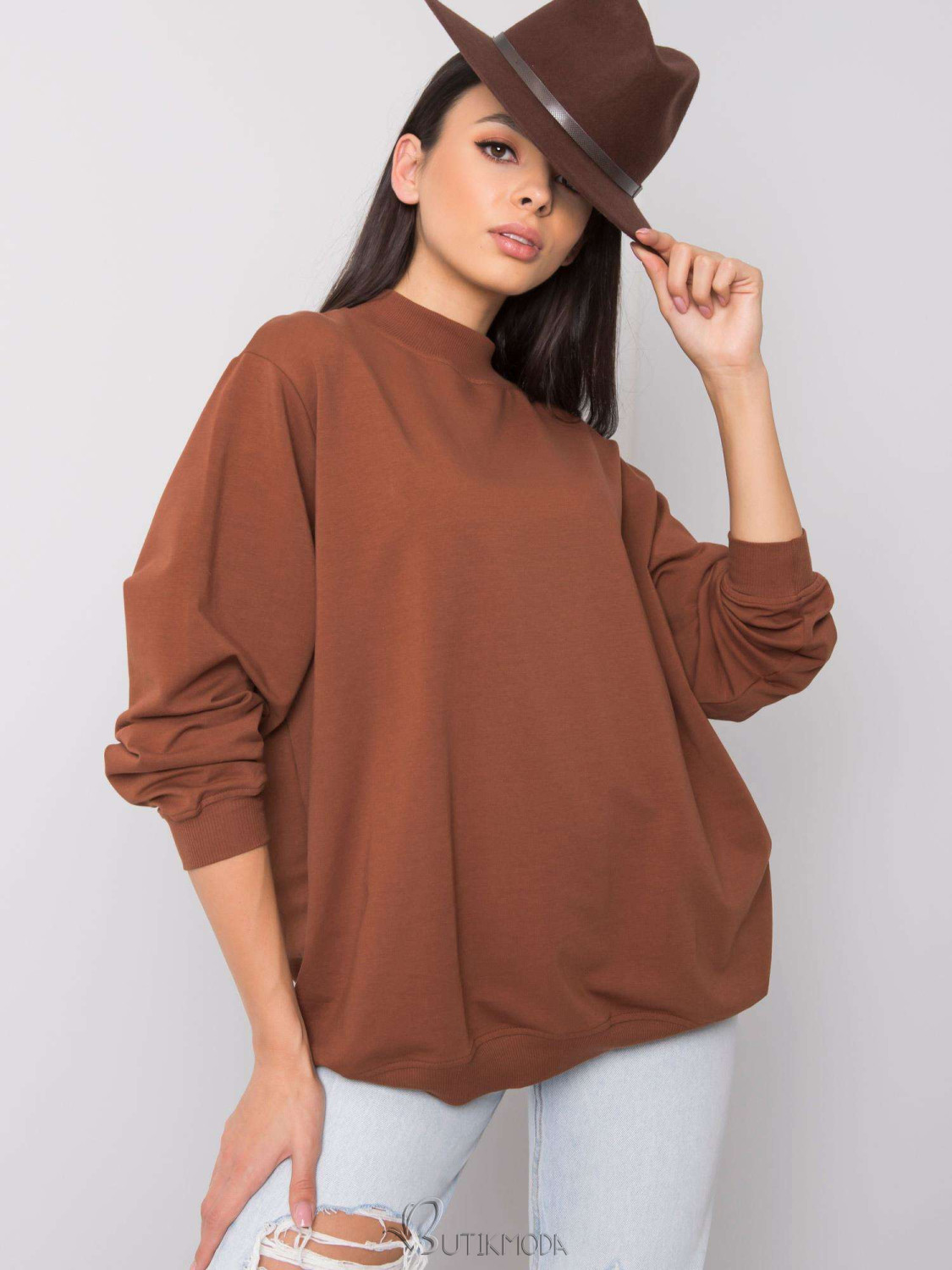 Brown Cotton Basic Sweatshirt