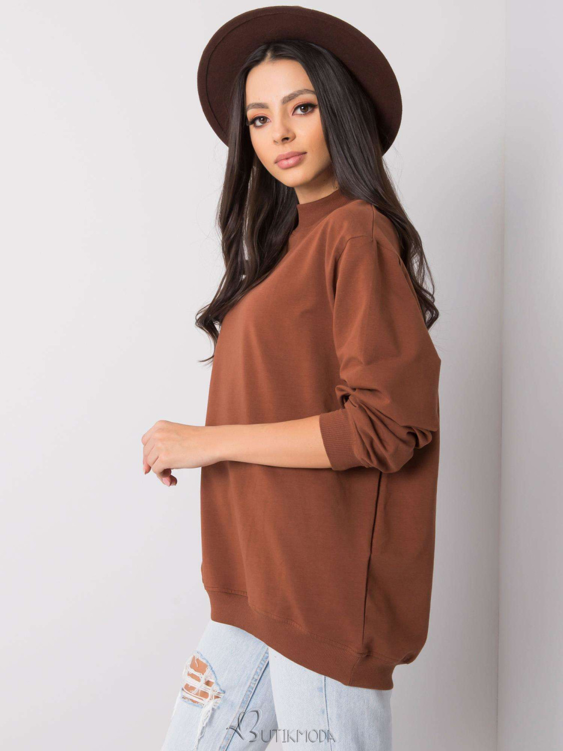 Brown Cotton Basic Sweatshirt