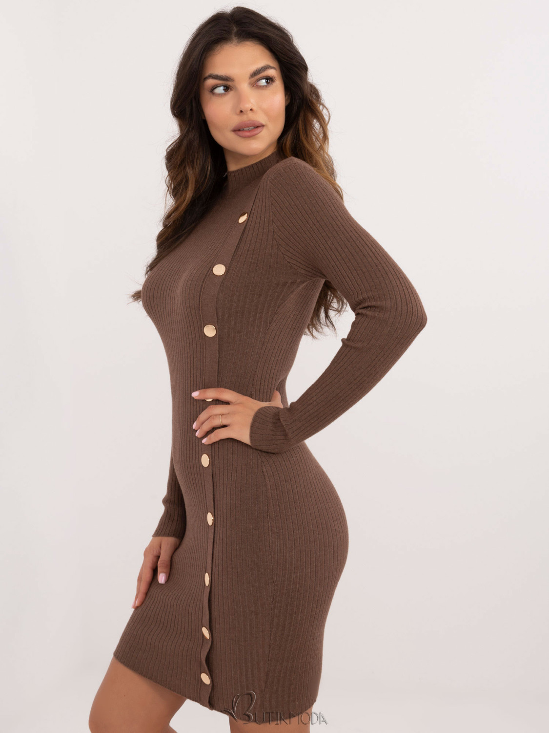 Brown Fitted Dress with Long Sleeves