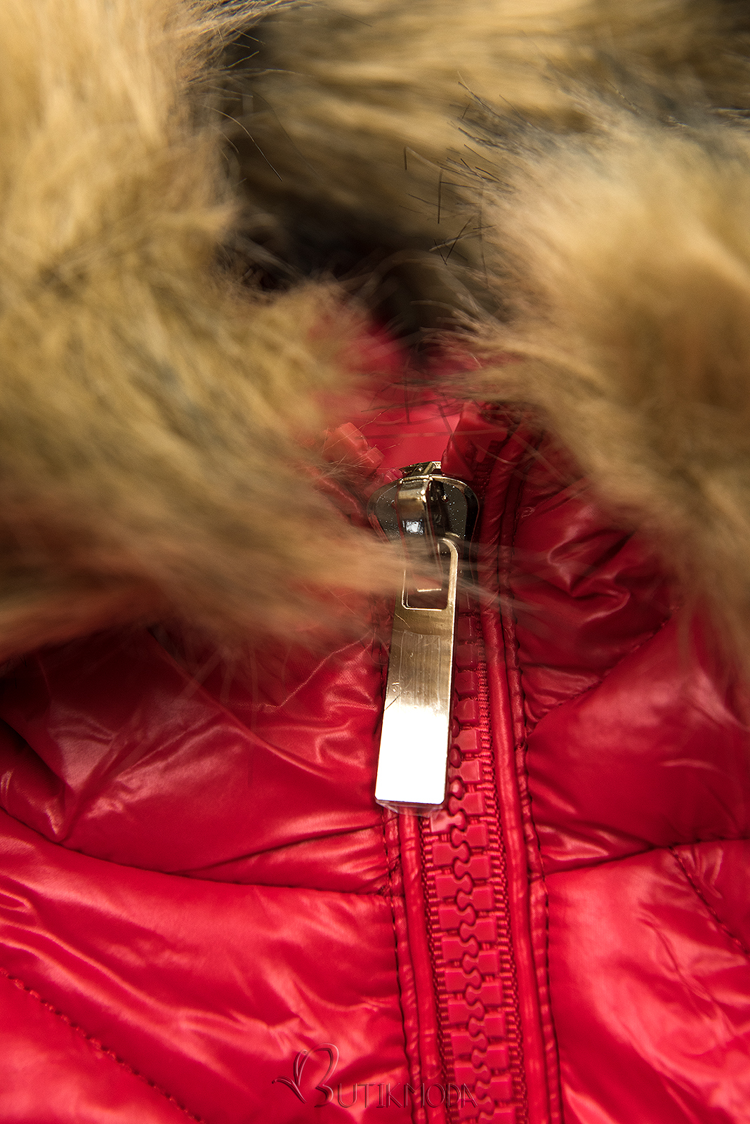 Belted winter jacket in red