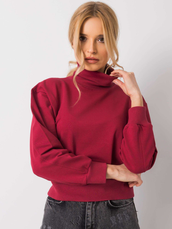 Bordeaux Basic Sweater with Turtleneck