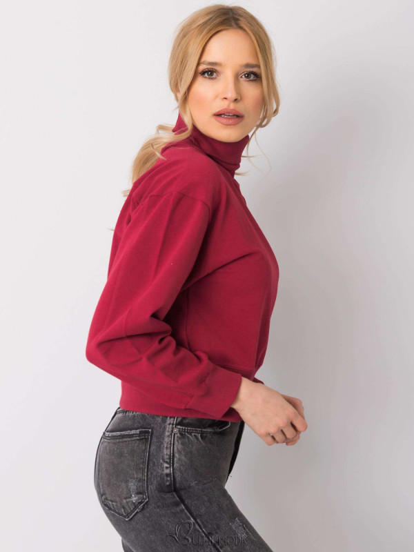 Bordeaux Basic Sweater with Turtleneck