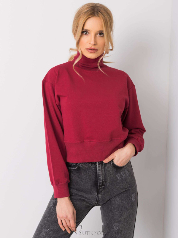 Bordeaux Basic Sweater with Turtleneck