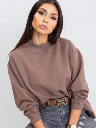 Brown Cotton Basic Sweatshirt