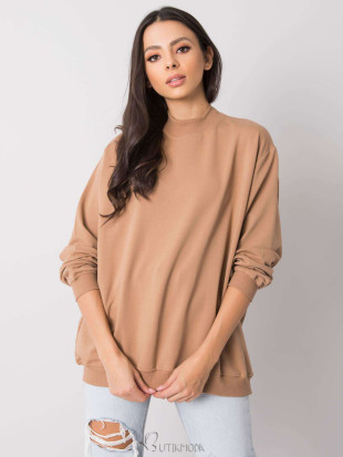 Brown Cotton Basic Sweatshirt