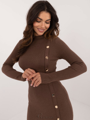 Brown Fitted Dress with Long Sleeves