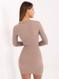 Beige Mini Dress with Long Sleeves